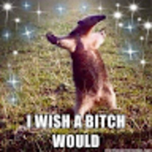 Meet your Posher, Clyde